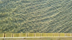 resized_14_api